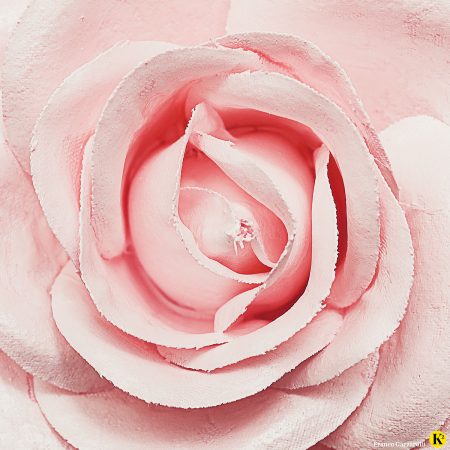 Stoffrose mit Puder Highlighter überzogen.