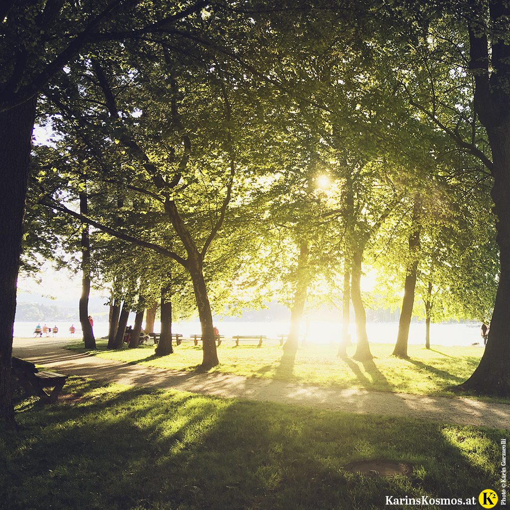 Foto von einem Sonnenuntergang am Attersee, durch Bäume fotografiert.