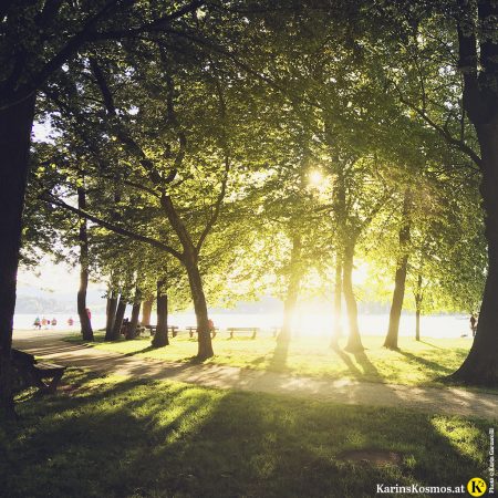 Foto von einem Sonnenuntergang am Attersee, durch Bäume fotografiert.