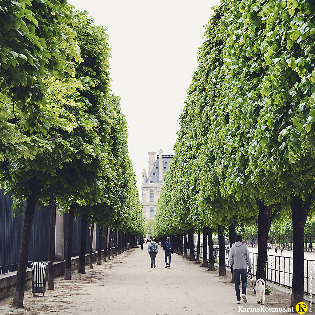 Allee bei den Tuileries in Paris.